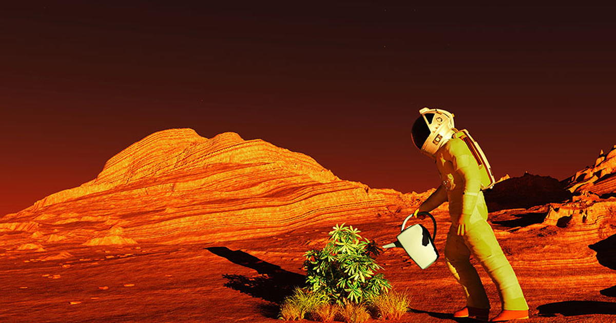 История о путешествии на другую планету. Колонизация Марса. Марс Планета колонизация. Растительность на Марсе. Сельское хозяйство на Марсе.